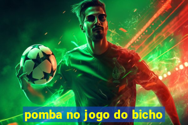 pomba no jogo do bicho